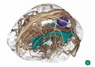 }9@3Dp摜\tgRealINTAGE