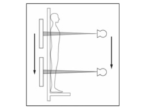 }4@XbgWIOtB[ ҂̑̎ɂقڐɂw˂XbgWIOtB[ł́CʓIȒڎBeŌcȂC萳mȌv\
