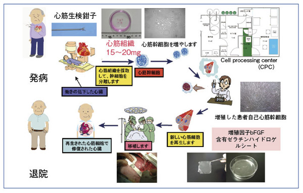 }4@ALCADIÃX^fBEXL[
