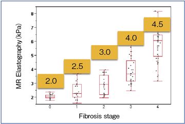 }2@MRGXgOtB̒eƐۉXRA