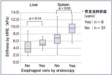 }8@HÖᎂ̗Lɂ̑B̒e̔r