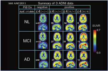 図3　J-ADNI，ADNI，AIBLのアミロイドPETの平均画像
