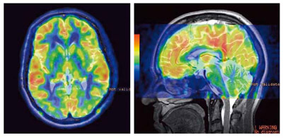 }6@3D ASLiCBFJ[}bsOj