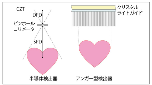 }5@Alcyone TechnologyɂR[g̈Ⴂ