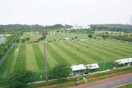 Lȕ~n10ʂ̓VRŃtB[h5000lẽX^WALJBbW