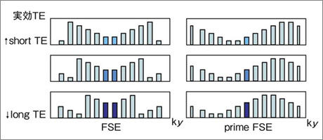 }2@prime FSẼGR[z̈Ⴂ