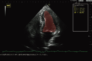 }5@EyeballEFi񋟁Fwa@z/ gZ^[ERc搶j