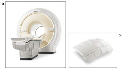 }7@ẼfW^RCMRIuIngeniav iajƁCpfW^RCibj