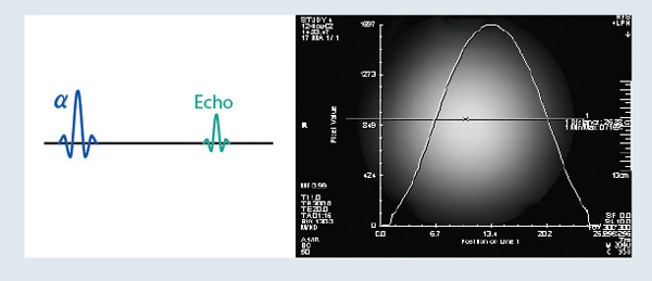 図3 b グラジエントエコーのRF分布(TR=300ms, α=50)
