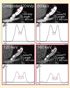 }5@܂܂ȉ摜ɂXego̕]