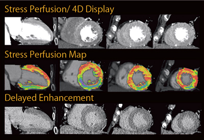 }3@Ǘ1FאS؃p[t[WƒxeCTiij