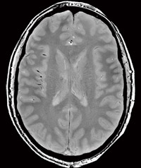 }4@7Tp32`lEwbhRCivg^Cvjł̏摜