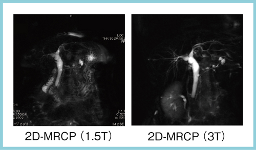 }6@XǓStᇁiIPMNjoߊώ@