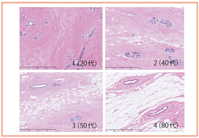 }5@PۂaȊԎisNj̔Nʕω 