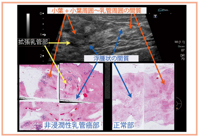 }6@g摜ƕagD̔ri41΁j 