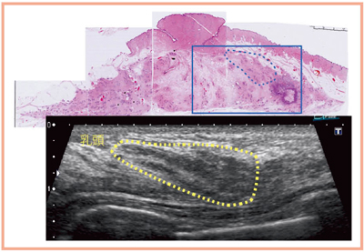 }7@g摜ƕagD̔ri42΁j