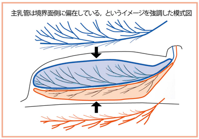 }10@ ǂƑBt̋Eʂ̃C[W