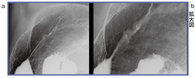 }5@ 掿ɂ蕪ƔfłǗiFPDj