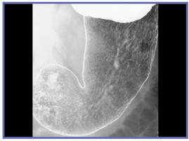 }1@FPDu1@̎Be 킸ȕ\ʊ׉mFłB 