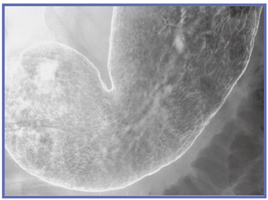 }2@FPDu1@̎Be AArL \wg^݂ 