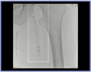 }5@X|bgi5pps ʃ[hgpj