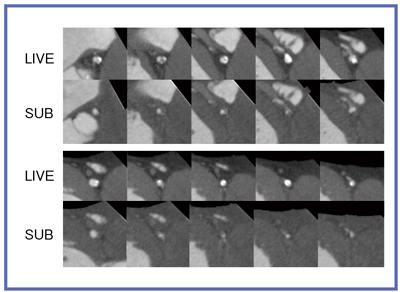 }3@Ǘ1LADZiTugNVW.I.P.j