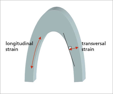 図4　心尖二腔，三腔，四腔画像で定義されている壁運動パラメータ
