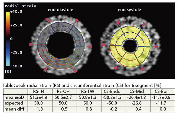 図6　二次元数値モデルによる検証