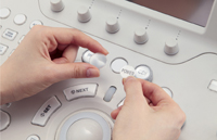 }11@RɃJX^}CYł鑀pl