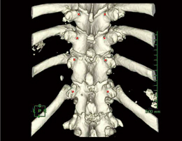 Cvgpő̌Œp̏pOV~[V摜