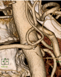 }13@Formulaɂ _O ]IpVeB̕ύXȂǁC̑̑sĂɍō掿Ŋώ@łB