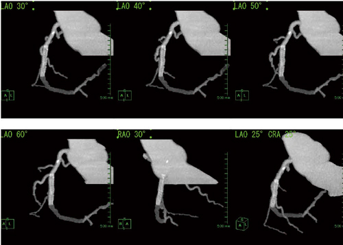 }3@CAG like viewɂPCI}bsO