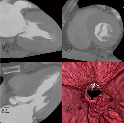 }4@mXقƓ؁CF̕\ _O炩ȉ摜񋟂B