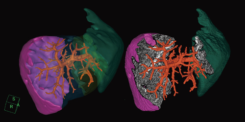 }1@|S\ijƃJbgMPR\iEj