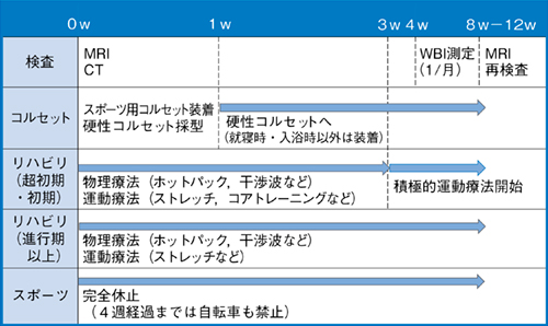 図3　当院の発育期腰椎分離症プロトコール