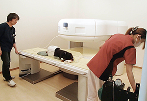 スタッフが並んで作業することが可能な横配置テーブル