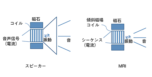 図1　スピーカーとMRIにおける音の発生の仕組み