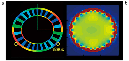 図3　RFシミュレータによる設計例 2ch楕円形状照射コイルの1ch電流分布（a）と2ch合成RF磁場分布のシミュレーション結果例（b）。楕円形状であっても，コイル形状を工夫することでRF磁場を均一にできる。