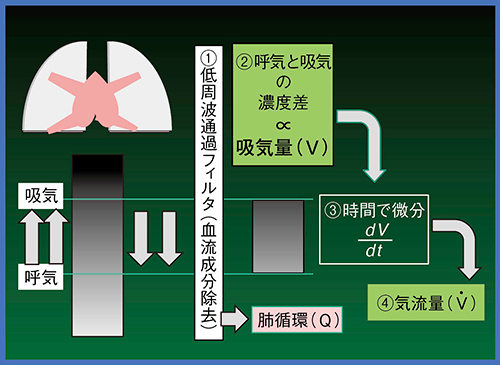 図5　X線動態画像のアルゴリズム