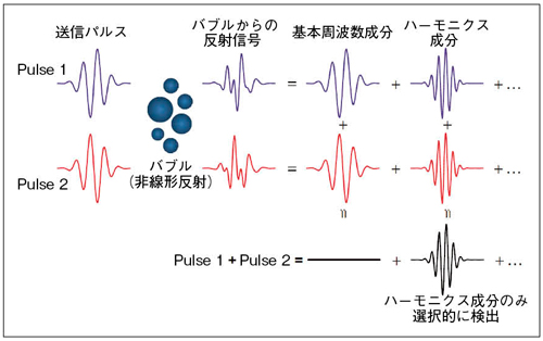 図1　Pulse Inversion法