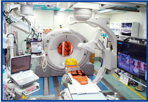 図1　Hybrid Emergency Room