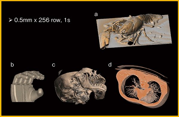 図3　面検出器CTプロトタイプ1号機の画像 a：ザリガニ　b：マジックハンド　c：顎　d：肺