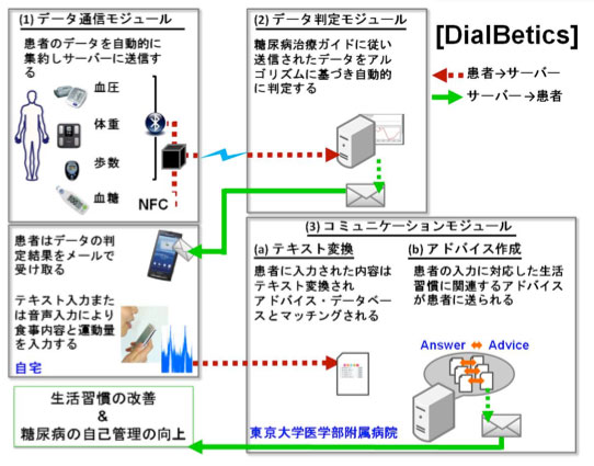 図5　DialBeticsの3モジュール
