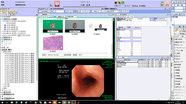 LifeMark-VNA：診療の流れに沿い，１画面で関連情報を表示。内視鏡画像と病理レポートの統合参照