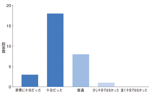 図2　生成AI活用支援パッケージの充実度
