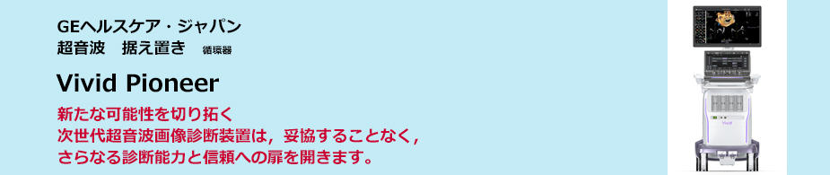 Vivid Pioneer
