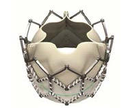 経カテーテル生体弁「サピエンXT」