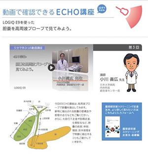 「GE ECHO Waza-ari」動画で確認できるECHO講座のページ