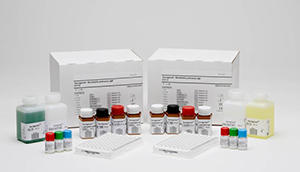 左：ノバグノスト 百日咳/IgA 右：ノバグノスト 百日咳/IgM