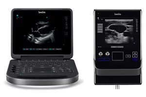 SonoSite EdgeII（左）SonoSite SII（右）